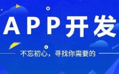 如何開發(fā)APP軟件，提高用戶體驗和吸引力？