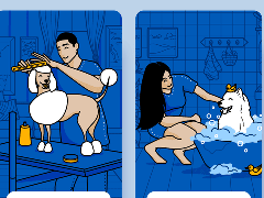 ?成功的寵物APP開(kāi)發(fā)的重要方面